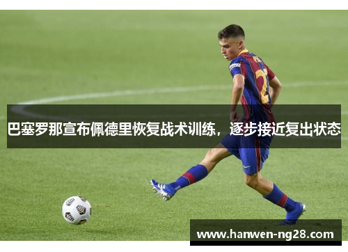 巴塞罗那宣布佩德里恢复战术训练，逐步接近复出状态